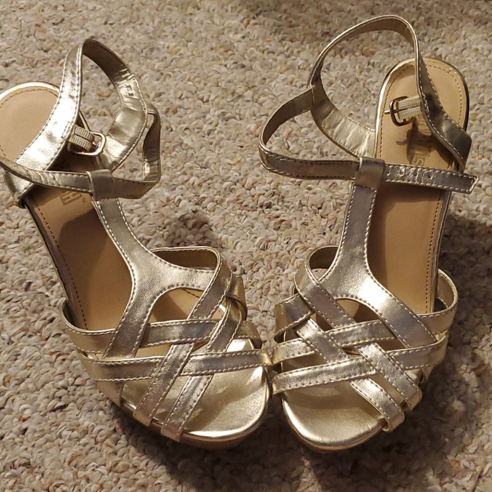Brash wedges